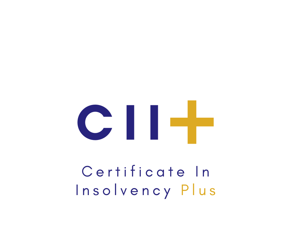 CII+ Program Image